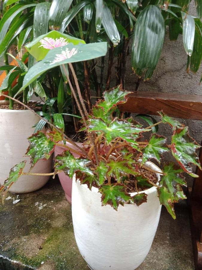 Burgos Hub Hostel Pasay Eksteriør bilde